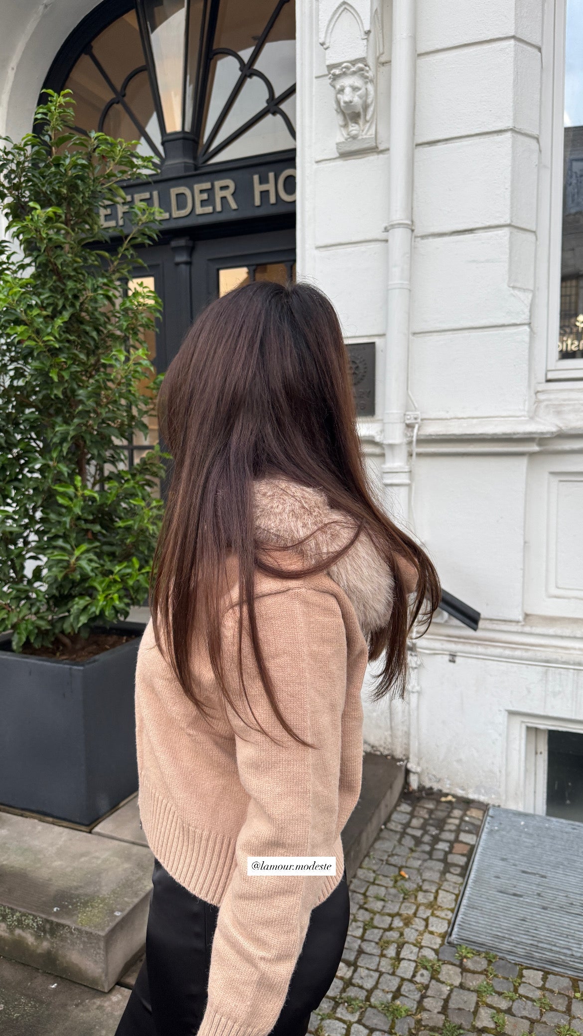 Veste en fourrure Nouramsterdam – Marron